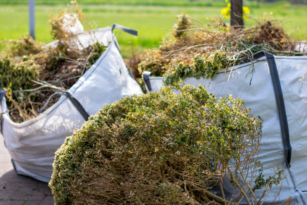Best Dumpster Rental Services  in Senatobia, MS